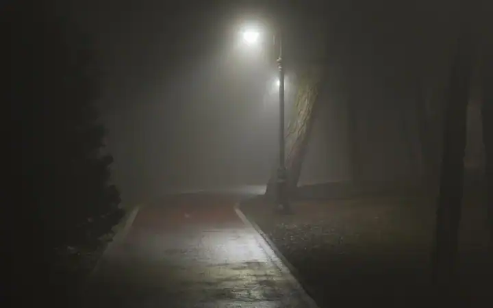 Night Time Tactics - How Thieves Operate