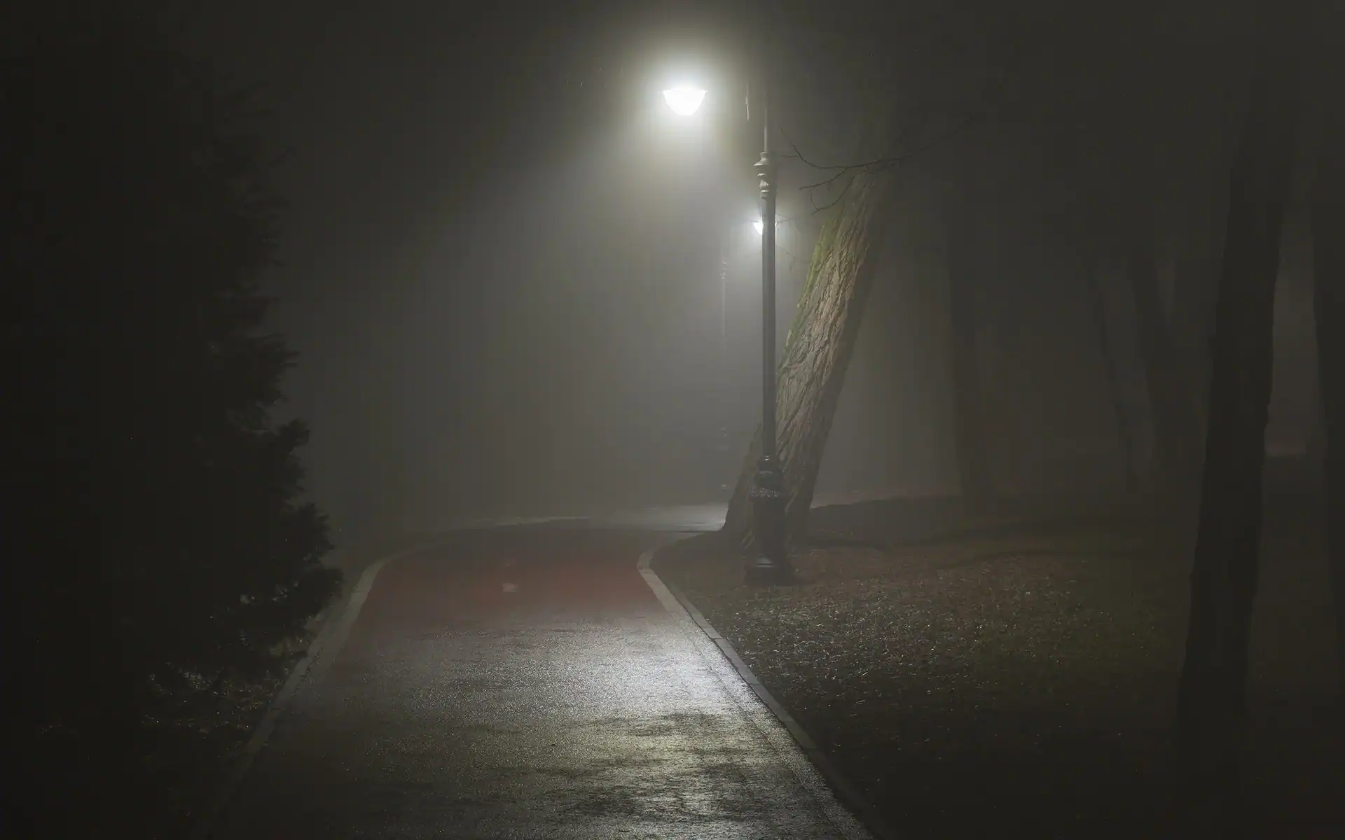 Night Time Tactics - How Thieves Operate